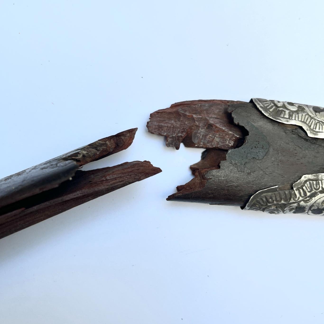 Sable persa - Imagen 2