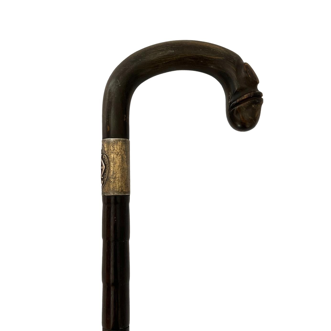 Bastón caña malaca, guampa y plata