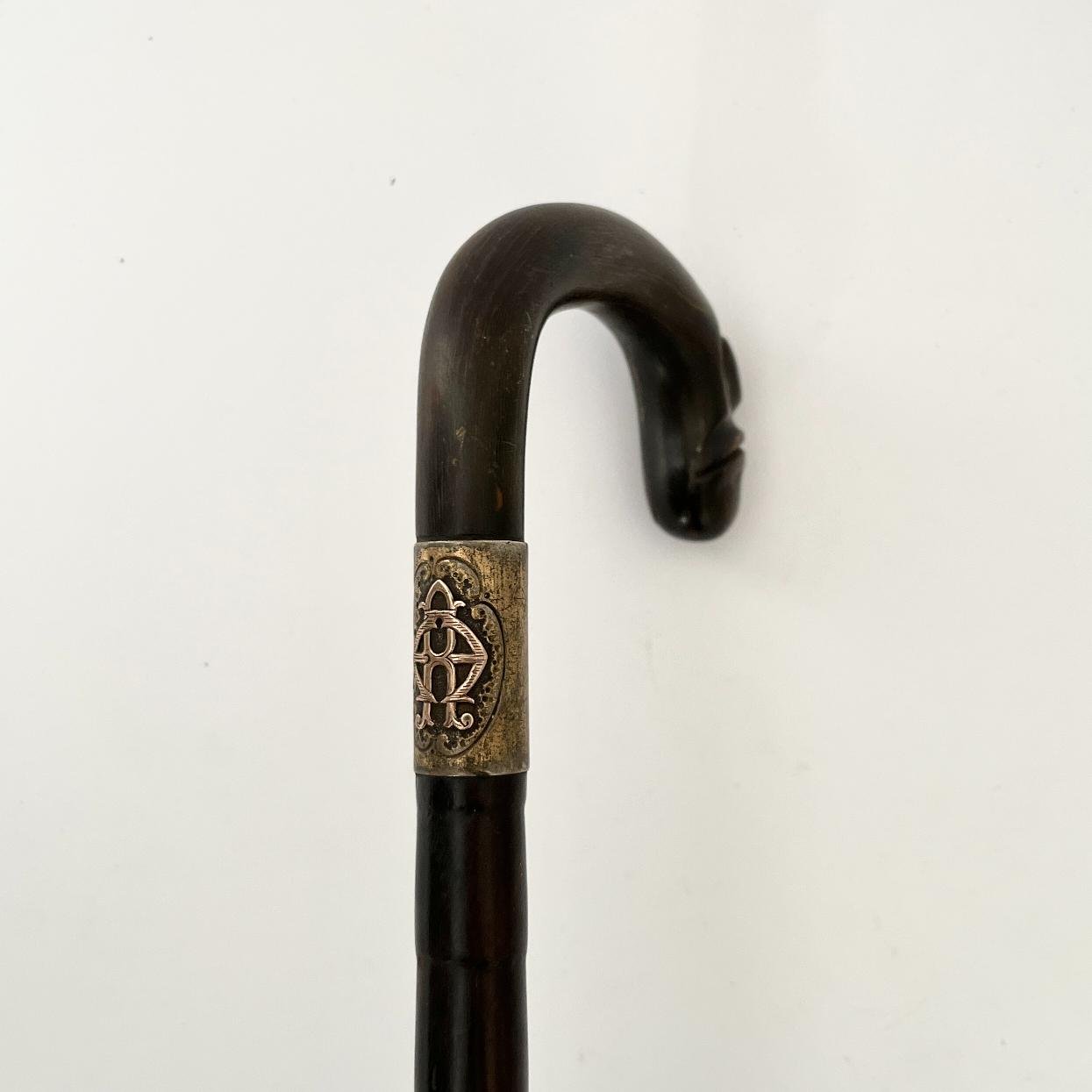 Bastón caña malaca, guampa y plata - Imagen 3