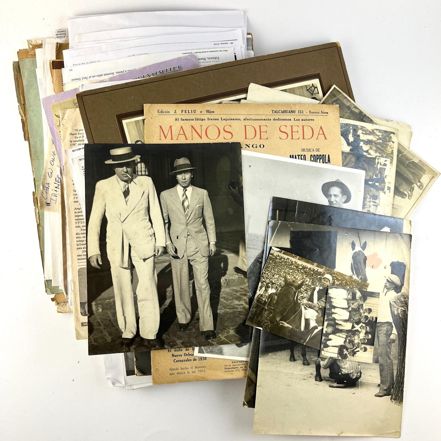 Archivo "Irineo Leguizamo"