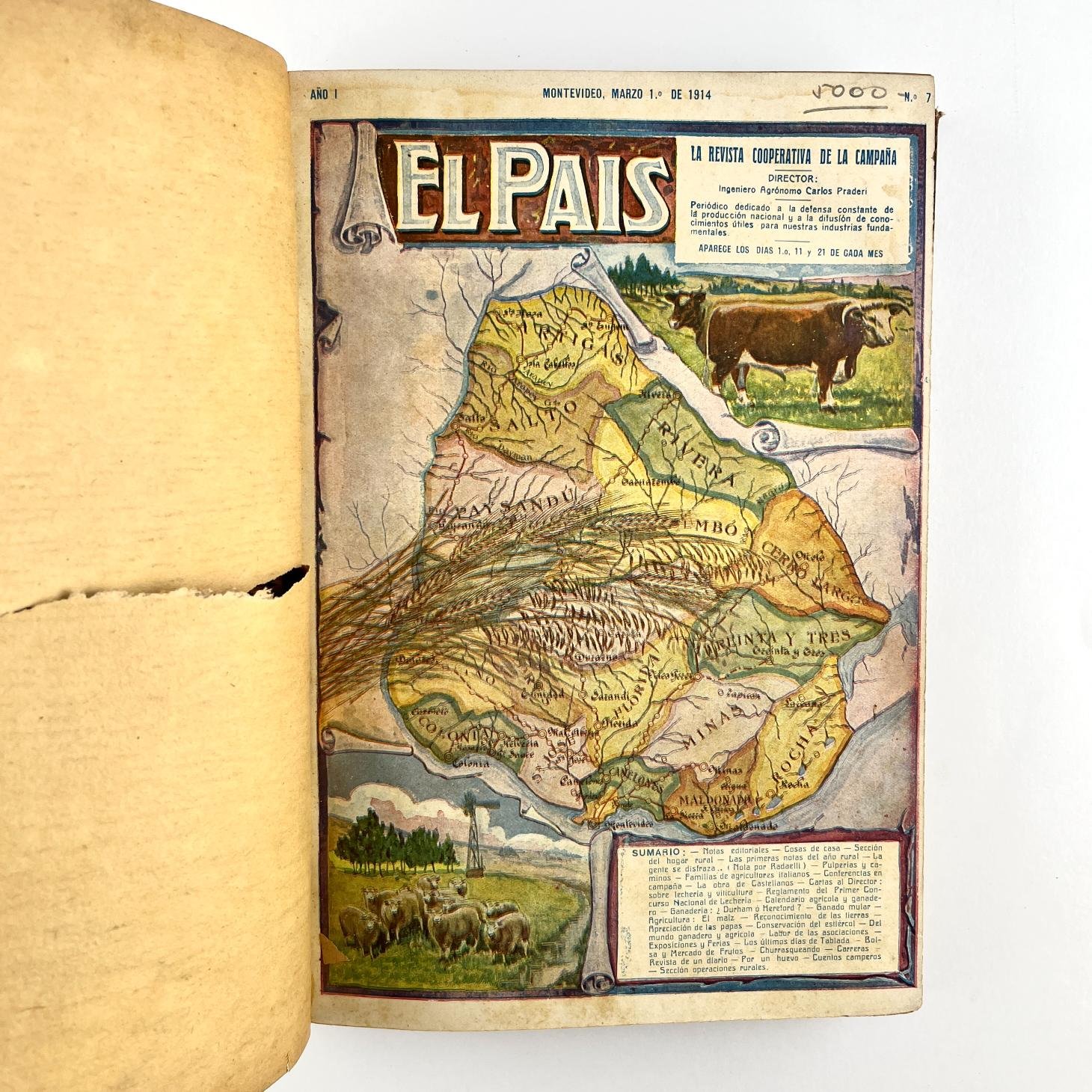 "El País Revista de Campaña"